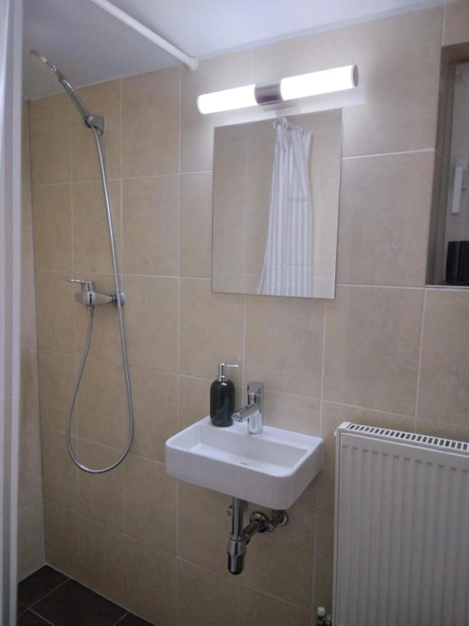 Studio Unique Apartman Temesvár Kültér fotó